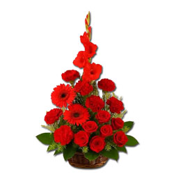 Red Roses with Gerberas Flower Basket